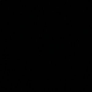 Meet your Posher, Selwyn